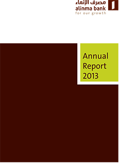 2013 Annual Report